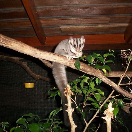 Forest Lodge: Little Villa Agnes Water Bagian luar foto