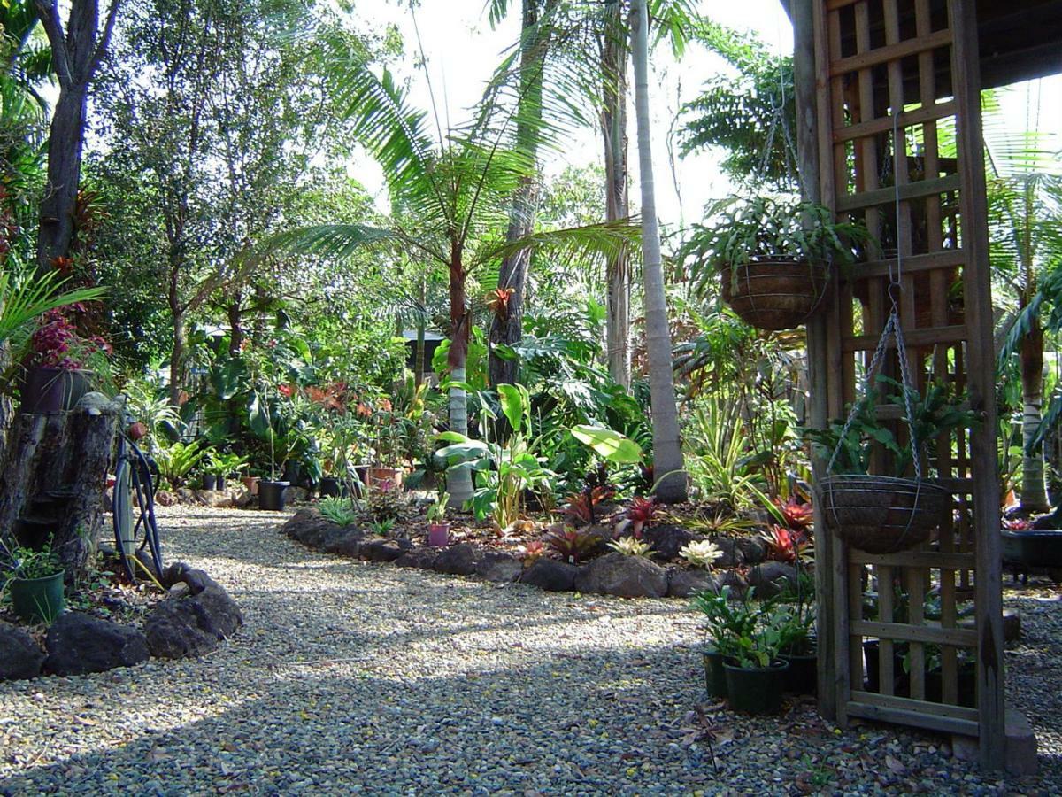 Forest Lodge: Little Villa Agnes Water Bagian luar foto