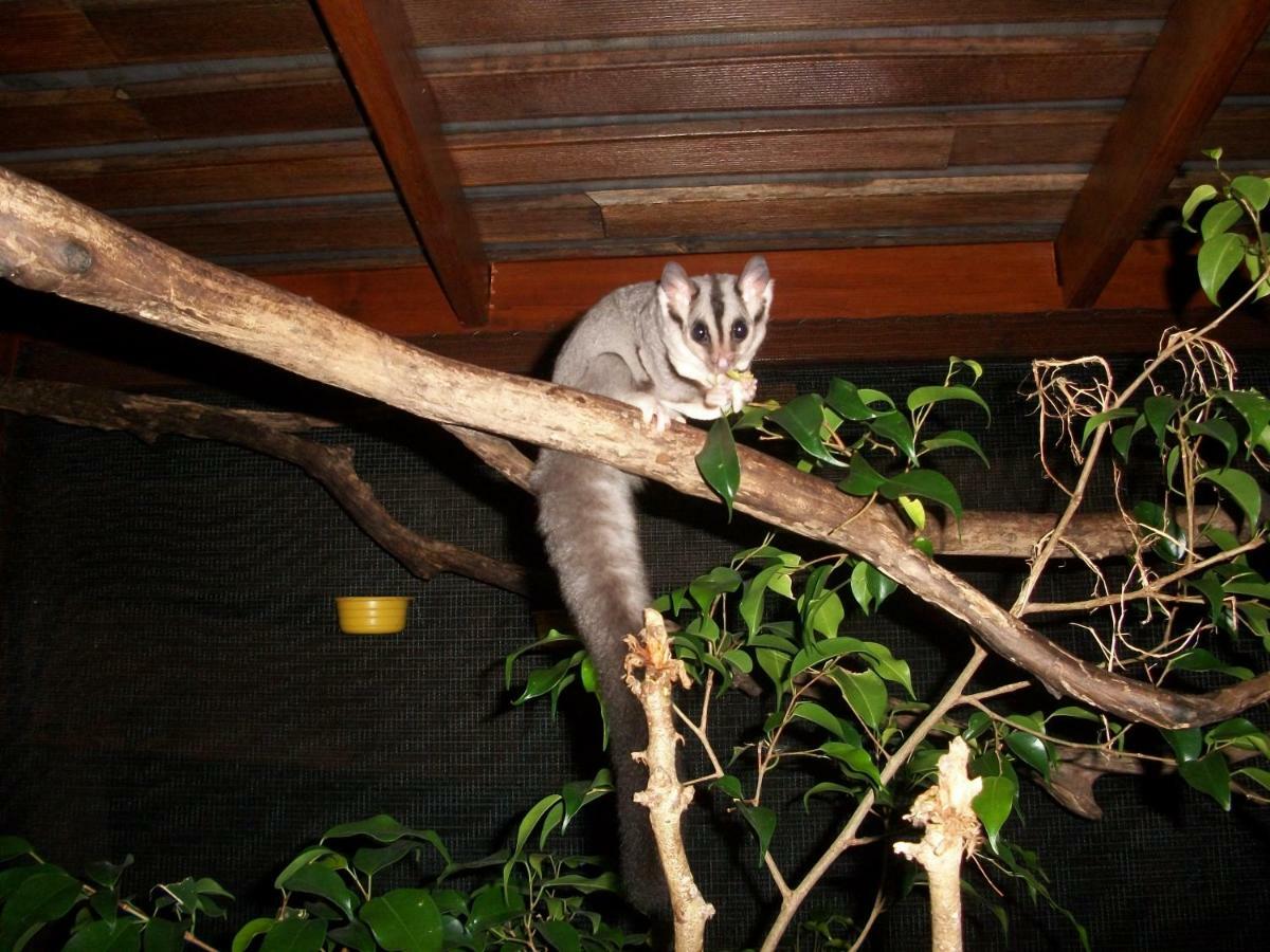 Forest Lodge: Little Villa Agnes Water Bagian luar foto